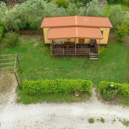 Agriturismo Nonna Stella Bibbona Exterior foto