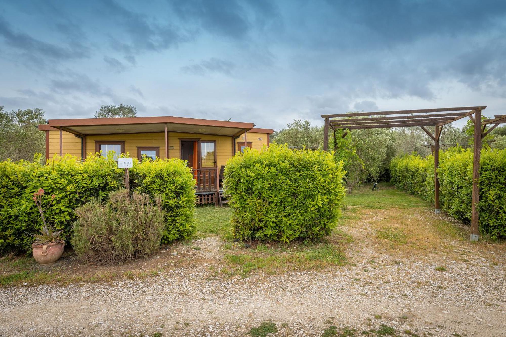 Agriturismo Nonna Stella Bibbona Exterior foto